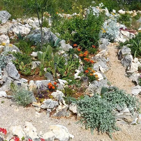 Sunrise, - Otok Krk *